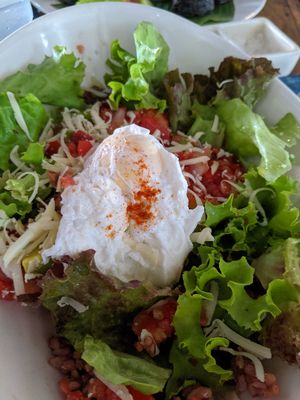 Mexican-inspired bowl at Warung Sopa - Jl Sugriwa in Ubud