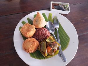 Red rice (small), ratatouille, crispy tofu miso cube (2 pcs.) & potato samossa - 33K at Warung Sopa - Jl Sugriwa in Ubud