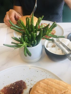 Plants!  at Moka  in Ardrossan