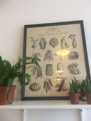 Decor at Moka  in Ardrossan