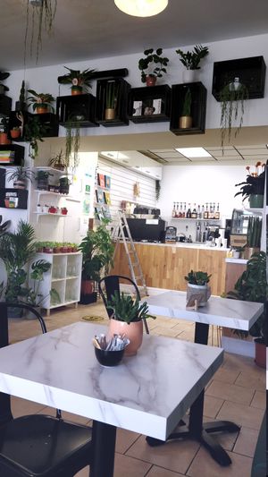  at Moka  in Ardrossan