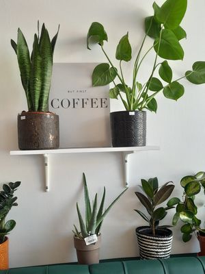 Interior at Moka  in Ardrossan