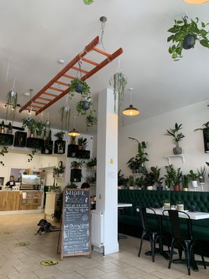   at Moka  in Ardrossan