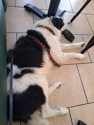  at Moka  in Ardrossan