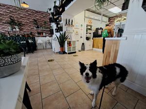  at Moka  in Ardrossan