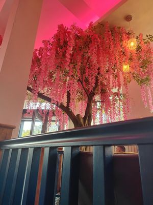 Interior at Tu Mundo Coffee in Prestatyn