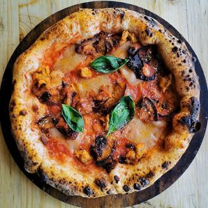 Purezza at Purezza in Manchester