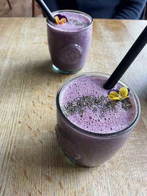   at Purezza in Manchester