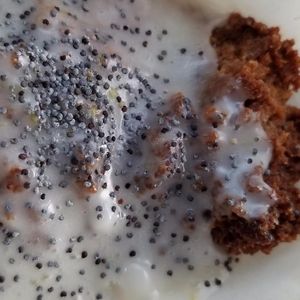 Lemon Poppyseed Muffin (V, GF, Grain-Free) at Bright Star Bakery in Talent