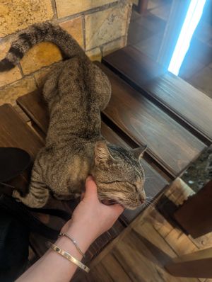  at Eni Traditional Food in Berat