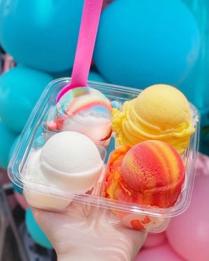 The Sampler Tray at Chrissy's Icies in Austin