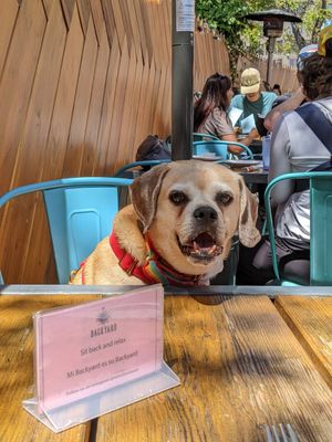  at Nido's Backyard in Oakland
