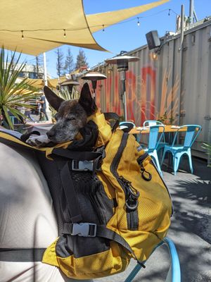  at Nido's Backyard in Oakland