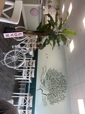   at Gaia's Urban Eatery in Charlottetown