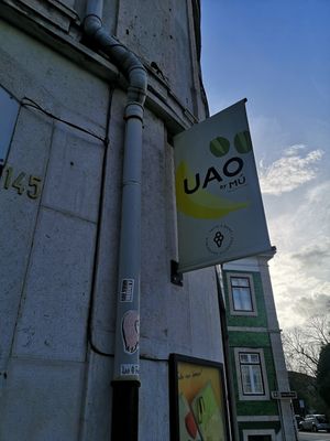  at UAO by Mú - Healthy Italian Gelato in Lisbon