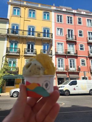  at UAO by Mú - Healthy Italian Gelato in Lisbon
