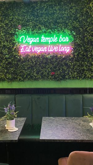 🌱 at Vegan Temple Bar in Amsterdam