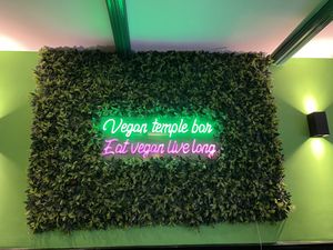 Inside decor  at Vegan Temple Bar in Amsterdam