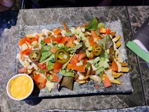 Shawarma loaded fries 🍟 at Vegan Temple Bar in Amsterdam