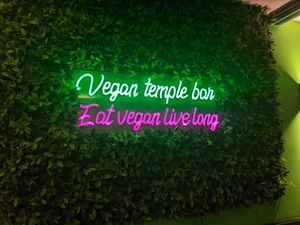  at Vegan Temple Bar in Amsterdam
