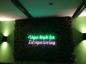 Inside at Vegan Temple Bar in Amsterdam