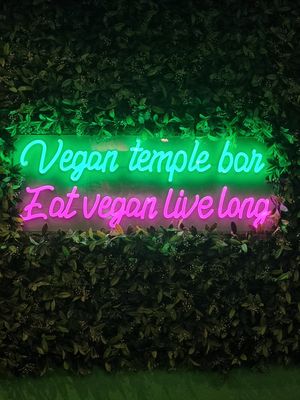  at Vegan Temple Bar in Amsterdam