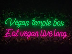  at Vegan Temple Bar in Amsterdam