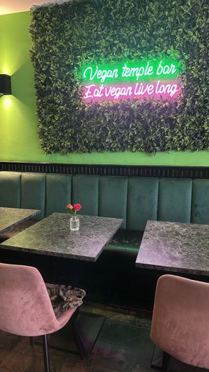   at Vegan Temple Bar in Amsterdam