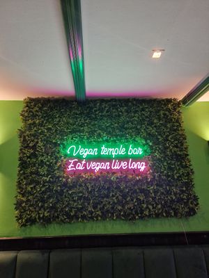  at Vegan Temple Bar in Amsterdam