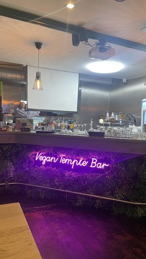   at Vegan Temple Bar in Amsterdam