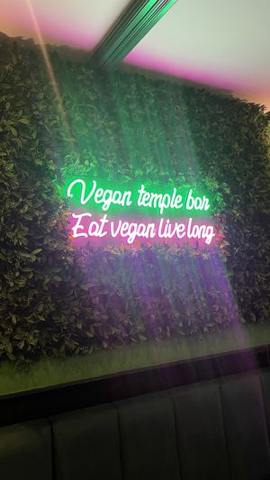   at Vegan Temple Bar in Amsterdam