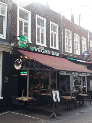  at Vegan Temple Bar in Amsterdam