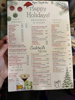   at Vegan Temple Bar in Amsterdam