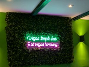  at Vegan Temple Bar in Amsterdam