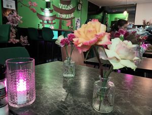  at Vegan Temple Bar in Amsterdam