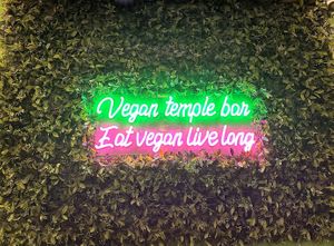   at Vegan Temple Bar in Amsterdam