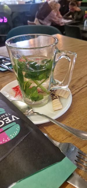  at Vegan Temple Bar in Amsterdam