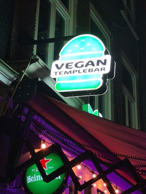  at Vegan Temple Bar in Amsterdam
