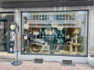  at MAU Kattencafé in Genk