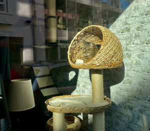  at MAU Kattencafé in Genk