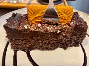  at MAU Kattencafé in Genk