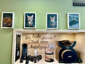  at MAU Kattencafé in Genk