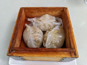 Veggie dumplings. at Xian Noodles at The Domain in Austin