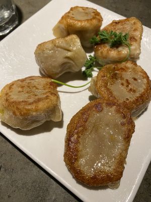 Pot stickers  at Uptown China Restaurant in Seattle