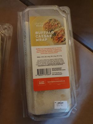 Wrap at Whisk Matcha Cafe in Vancouver