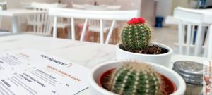 Cactus on table at Charli's Crew in Paris
