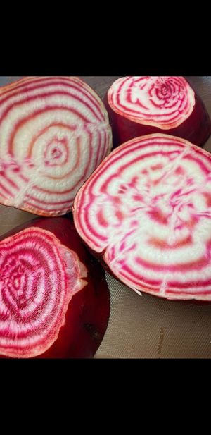  at The Fold in Worcester