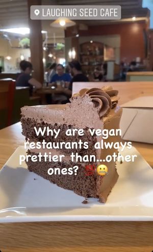 Chocolate cake  at Laughing Seed Cafe in Asheville