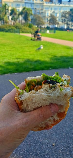 Sandwich of the month at Plant the Seed in Hastings