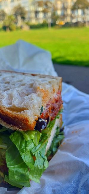  at Plant the Seed in Hastings